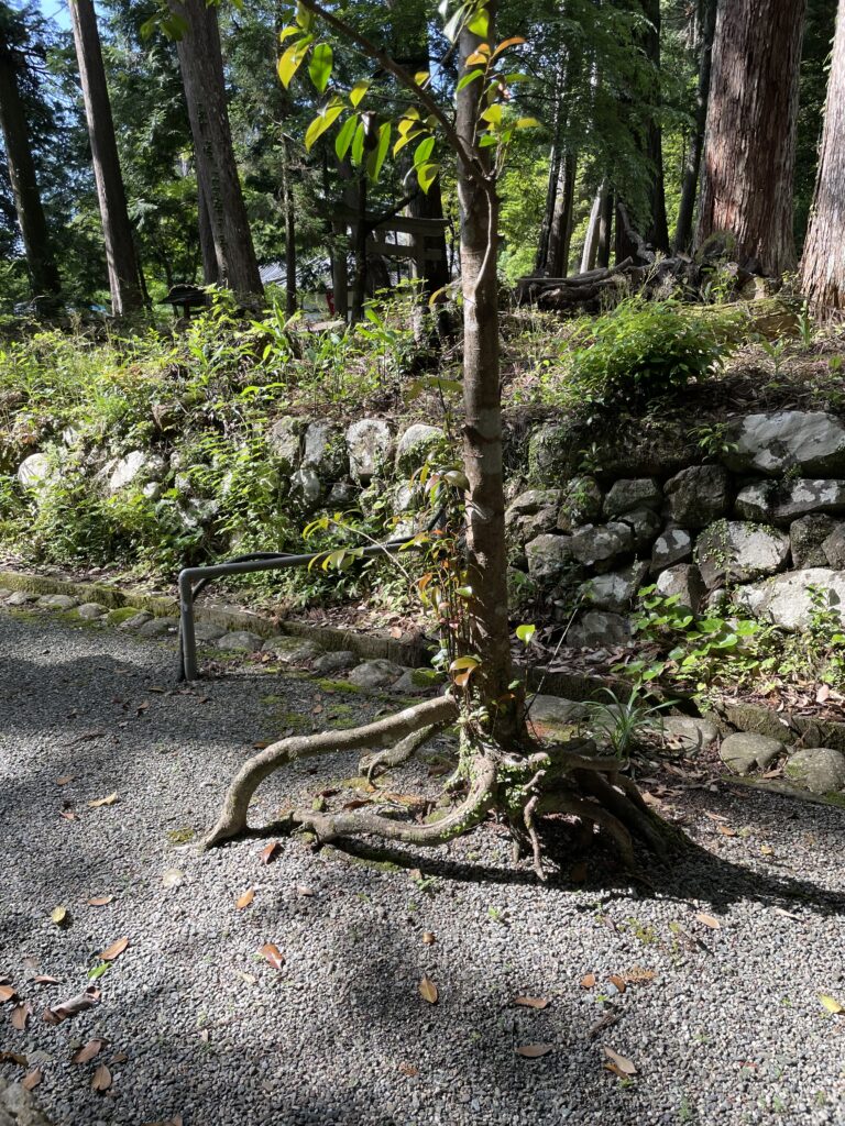 丹生神社